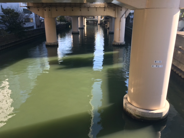 折々の東横掘。散歩。