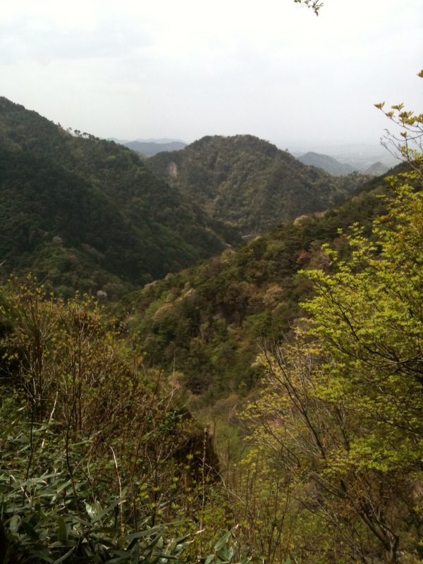 山の本　畦地梅太郎