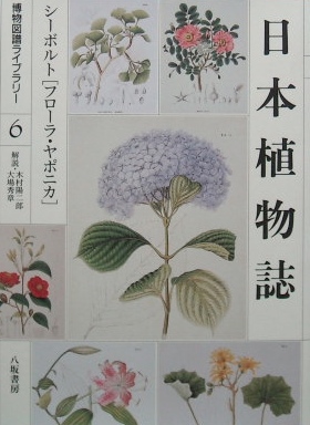 日本植物誌・シーボルト「フローラ・ヤポニカ」｜博物学・植物学