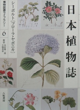 日本植物誌・シーボルト「フローラ・ヤポニカ」｜博物学・植物学 ...