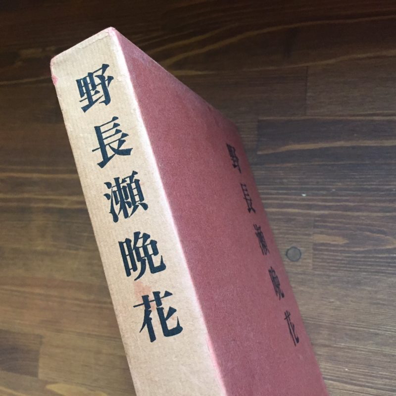 野長瀬晩花 ｜ 和高伸二著 ｜和歌山県立近代美術館編 ｜ 美術評論・伝記