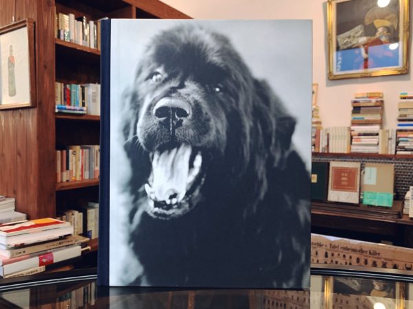 ブルース・ウェーバー BRUCE WEBER ｜ GENTLE GIANTS: A BOOK OF NEWFOUNDLANDS ｜ 写真集