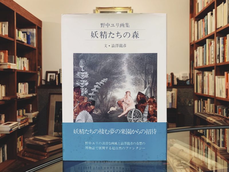 野中ユリ画集 妖精たちの森 ｜ 文・澁澤龍彦 ｜ 講談社 ｜ 美術・画集