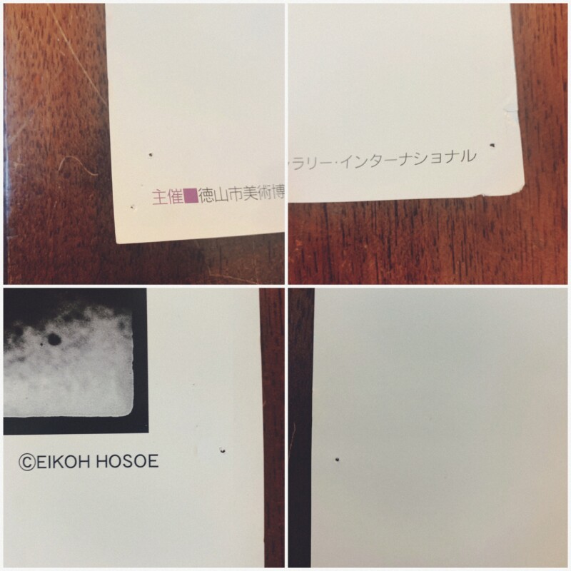 展覧会ポスター　細江英公の写真 1950-2000　EIKO HOSOE: Photographs ｜ 三島由紀夫『薔薇刑』・2001年 徳山市美術博物館 ｜ ポスター・写真