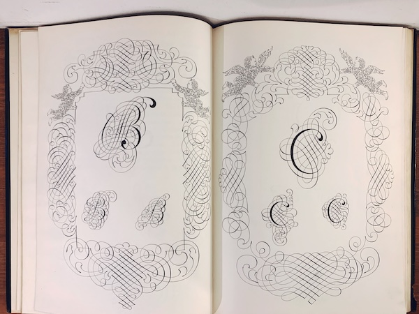 カリグラフィーの本 CALLIGRAPHY ｜ Johann Georg Schwandner ｜ 1958年・DOVER ｜ グラフィック ...