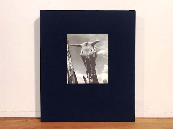 ジョージア・オキーフ　Georgia O’Keeffe: The Artist’s Landscape ｜ 写真：Todd Webb ｜ 1984・Twelvetrees Press ｜ 写真集