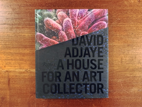 デイヴィッド・アジャイ　DAVID ADJAYE: A House for an Art Collector｜ 2011・RIZZOLI ｜ 建築書・現代美術