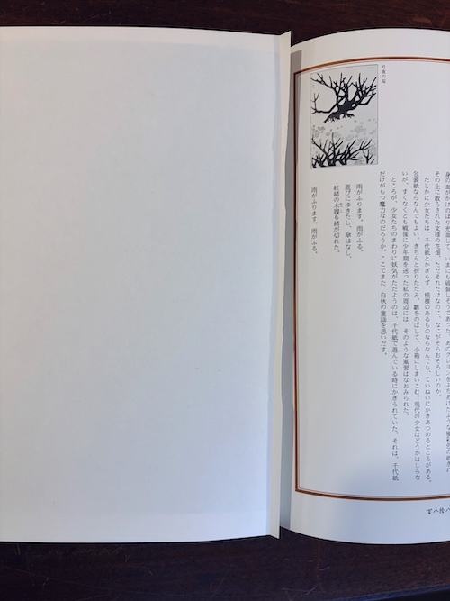 江戸のデザイン | 草森紳一 / 装幀:横尾忠則 | 昭和47年・駸々堂 | デザイン評論